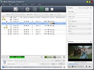 4Media DVD Ripper Standard screenshot